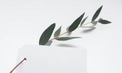 Featured image of post Hello Hugo